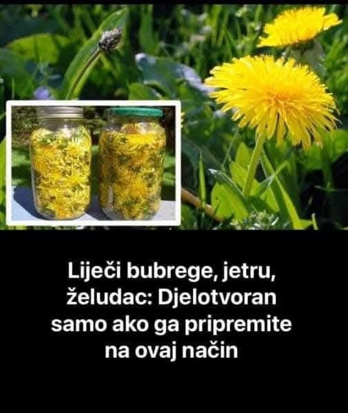 Masla Ak Lije I Jetru Bubrege I Eludac Djelotvoran Je Samo Ako Ga