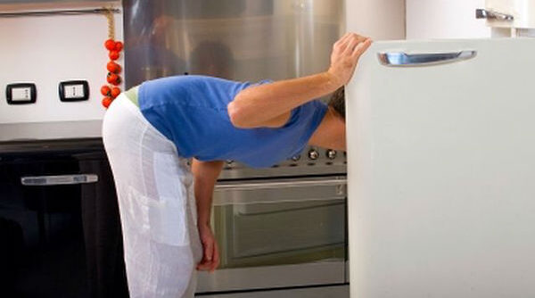 frizider-600x334