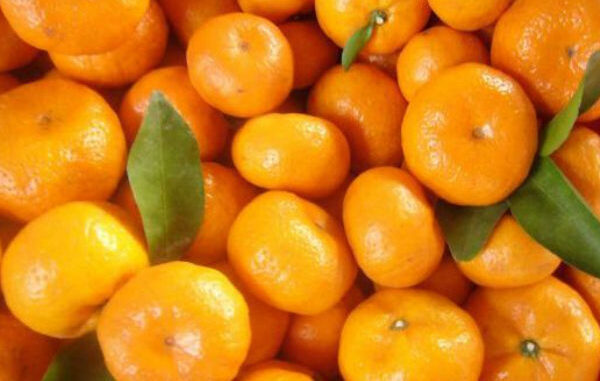 mandarine