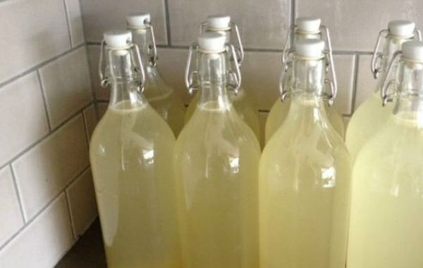 pivo-od-djumbira-600x381