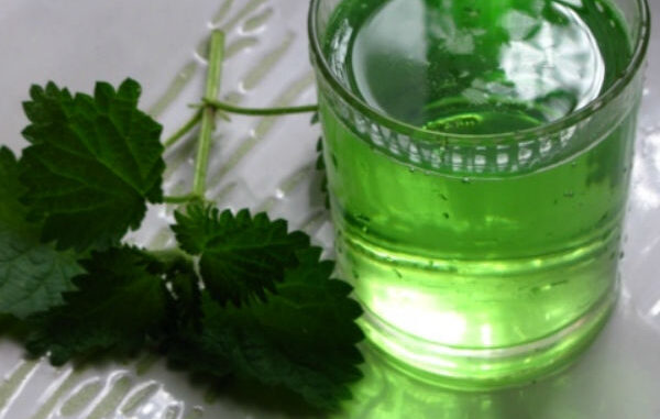 sirup-kopriva