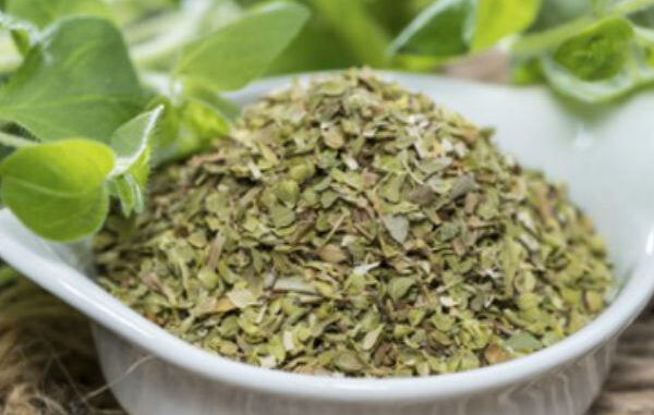 origano
